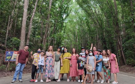 Sunsets, Sea Turtles & So Much Laughter: Our Unforgettable Family & Friends Tour in Panglao Island, Bohol